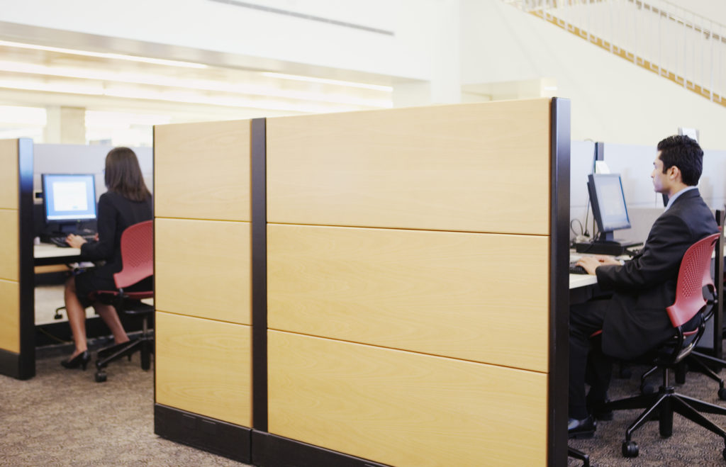 office staff working in their office cubicles