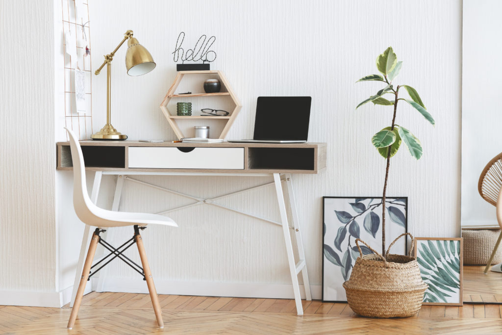 Modern home working place with laptop, stylish lamp and plant in pot over white wall background