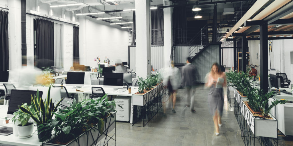 a modern open office space with plants and white office furniture