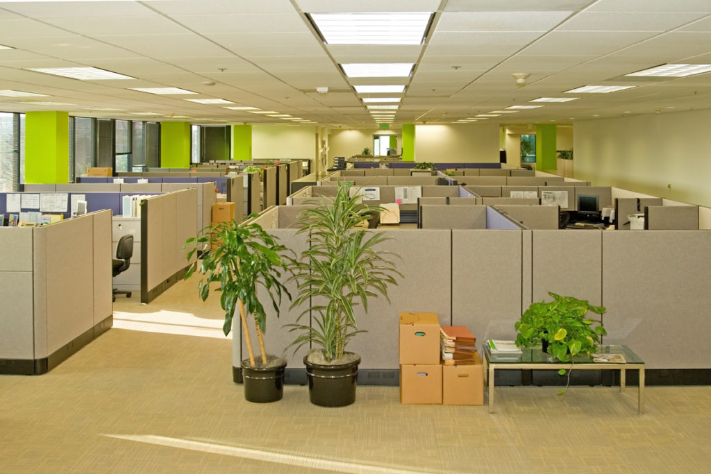 Side view of an El Paso office with cubicles.