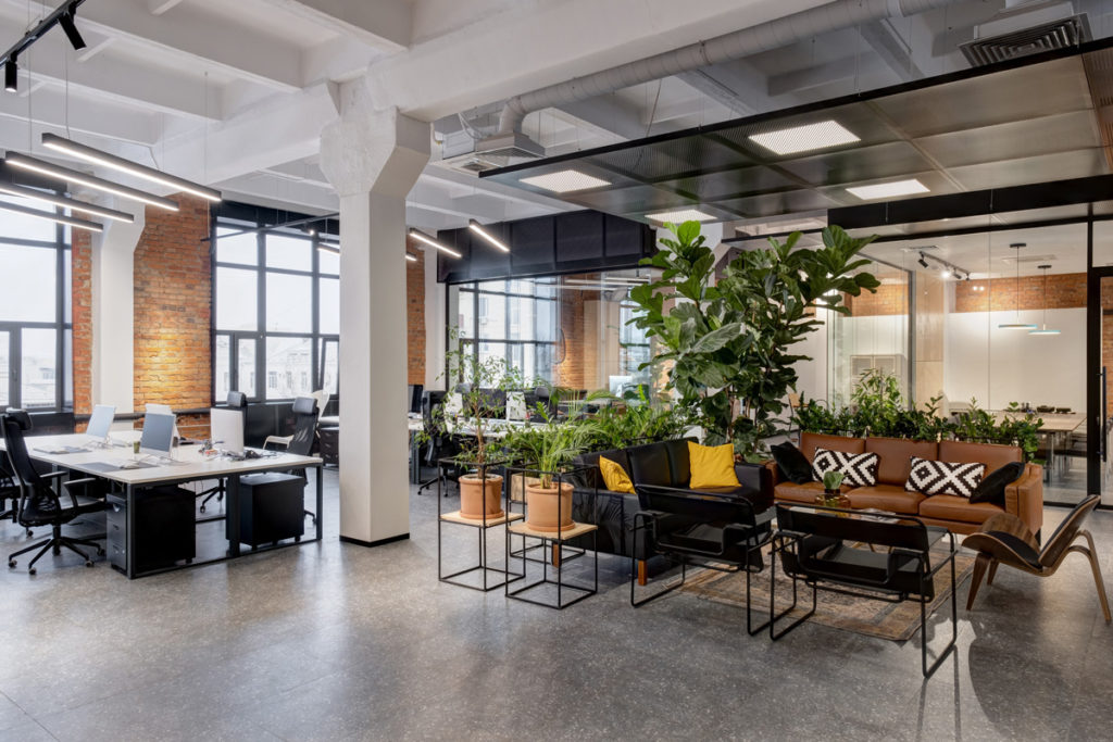 An open office space with plants and brown couches in El Paso.